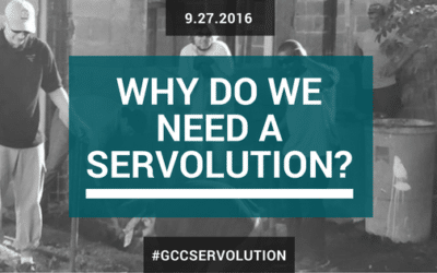 Why do we need a Servolution?
