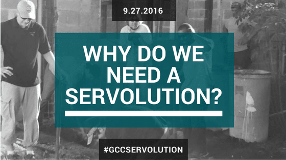 Why do we need a Servolution?